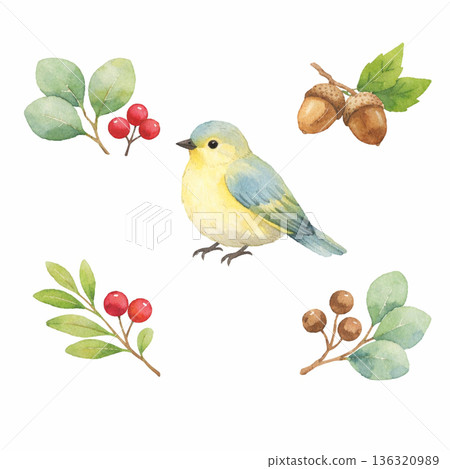水彩風格鳥獸堅果自然植物組剪紙插畫素材 136320989