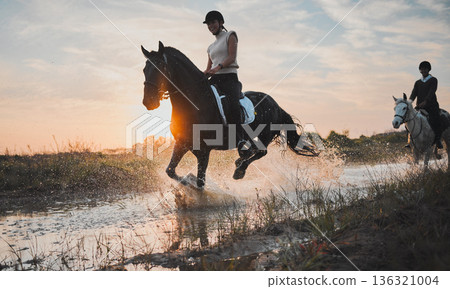 Adventure, horse riding and sunset with water or girl for travel in summer or weekend in field. Female rider, vacation and animal in river is happy with equestrian or stallion with sunshine, nature. Adventure, horse riding and sunset with water or girl for travel in summer or weekend in field. Female rider, vacation and animal in river is happy with equestrian or stallion with sunshine, nature. 136321004