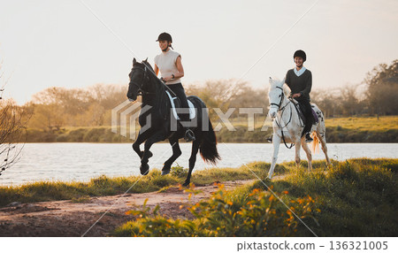 Horse riding, freedom and hobby with friends in nature on horseback by the lake during a summer morning. Countryside, equestrian and female riders outdoor together for travel, fun or adventure Horse riding, freedom and hobby with friends in nature on horseback by the lake during a summer morning. Countryside, equestrian and female riders outdoor together for travel, fun or adventure 136321005