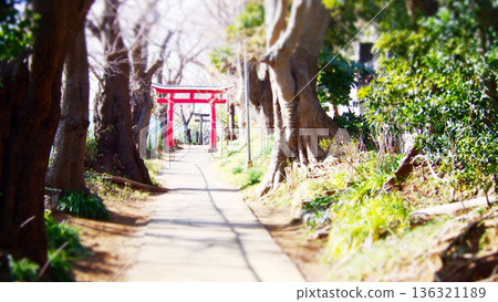天氣晴朗的日子裡，步行到神社。 136321189