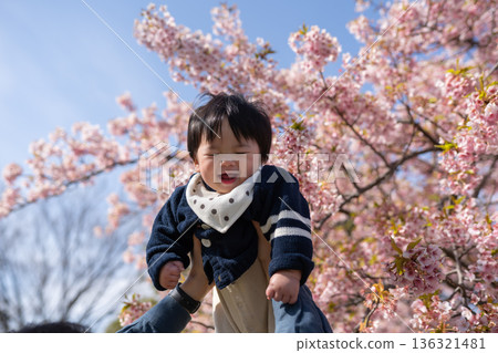 男孩們在櫻花盛開的公園裡嬉戲玩耍 136321481