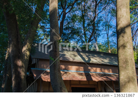 倉庫和屋敷林 倉庫和屋敷林 136321867