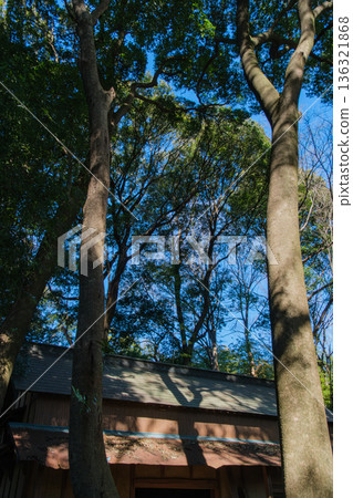 倉庫和樹影 136321868