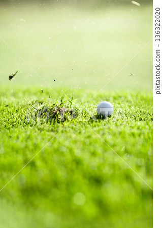 Grass, sports and a ball for golf on a course for a game, competition or training. Fitness, turf and a missed shot on a lawn for professional sport, hobby or recreation on a field for an activity 136322020