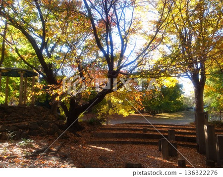 Tateno Park Tateno Park 136322276