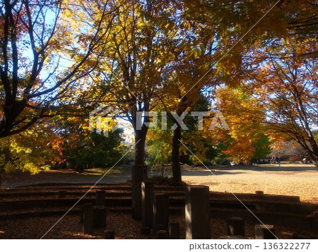 Tateno Park Tateno Park 136322277