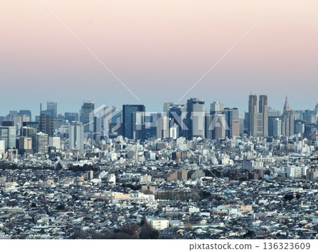Bird's-eye view of Shinjuku city in the setting sun Bird's-eye view of Shinjuku city in the setting sun 136323609