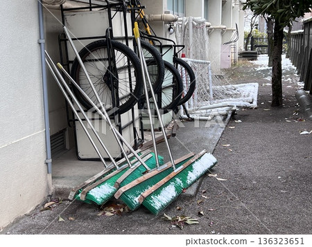 學校操場角落裡，一叢被雪覆蓋的灌木叢。 136323651