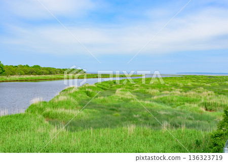 北海道東部 藥津別川濕地 夏季 北海道東部 藥津別川濕地 夏季 136323719