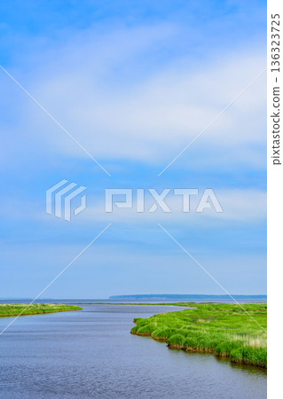 Eastern Hokkaido Yaushubetsu River Wetland Summer Eastern Hokkaido Yaushubetsu River Wetland Summer 136323725