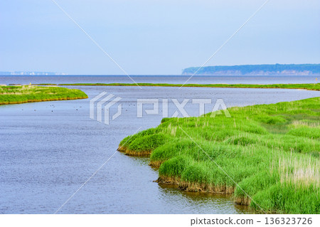 Eastern Hokkaido Yaushubetsu River Wetland Summer Eastern Hokkaido Yaushubetsu River Wetland Summer 136323726