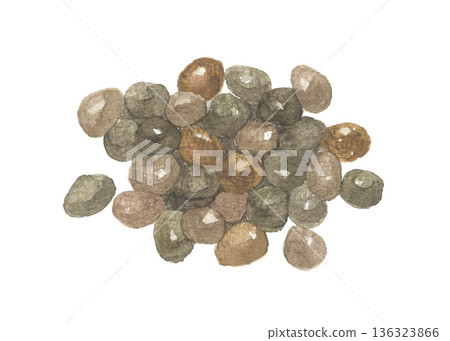 Watercolor painting of perilla fruit and seeds 136323866