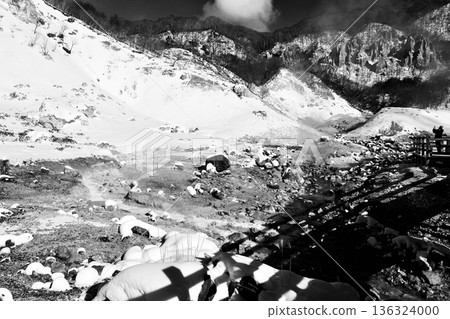 Snow-covered "Noboribetsu Jigokudani" and hot springs flowing like rivers in "Black and White" 136324000