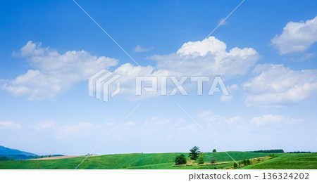 北海道美瑛初夏景色,藍天白雲。 北海道美瑛初夏景色,藍天白雲。 136324202