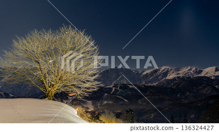 Winter in Nodaira - Early morning view of the Northern Alps - A single cherry tree in winter 136324427