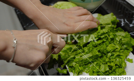 Hands cutting fresh green lettuce on a board Hands cutting fresh green lettuce on a board 136325459