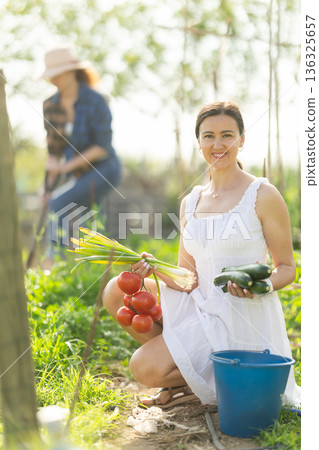 Woman in white dress with ripe vegetables in her hands - tomatoes, zucchini and green onions Woman in white dress with ripe vegetables in her hands - tomatoes, zucchini and green onions 136325657