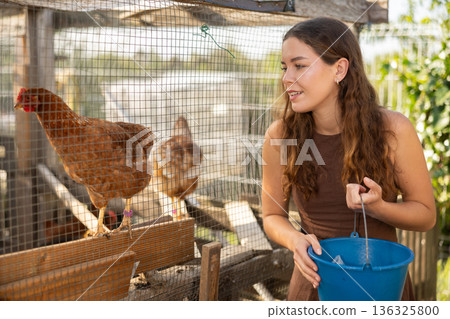 Woman feeds chickens in coop in the backyard of farm Woman feeds chickens in coop in the backyard of farm 136325800