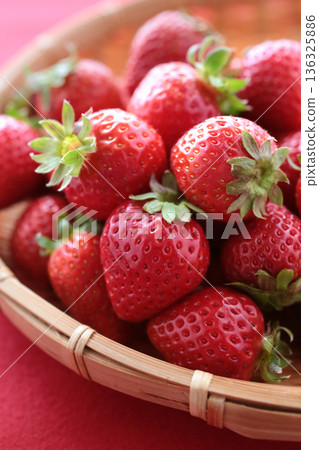 Harvested strawberries in a basket Harvested strawberries in a basket 136325886