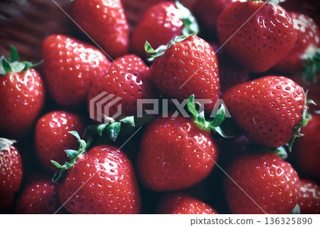 籃子裡裝著採摘的草莓。 136325890
