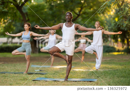 Multinational yoga enthusiasts with African male coach perform vrikshasana in park 136325972