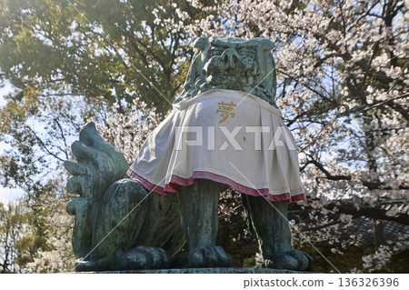 豐國神社及小犬(大阪府大阪市) 豐國神社及小犬(大阪府大阪市) 136326396