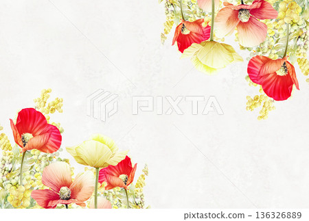 Red poppy and mimosa flower frame 136326889