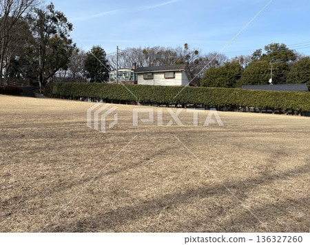 Winter-dead grass in Higashitakane Forest Park, Miyamae Ward, Kawasaki City, Kanagawa Prefecture Winter-dead grass in Higashitakane Forest Park, Miyamae Ward, Kawasaki City, Kanagawa Prefecture 136327260