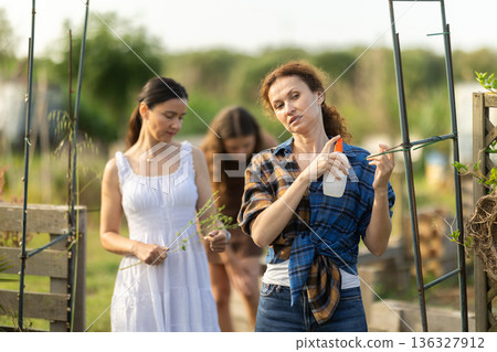 Women spray mosquito repellent on their legs and arms while working in farm and garden 136327912