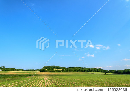 Traveling through the Okhotsk grain belt in Kitami, Eastern Hokkaido Traveling through the Okhotsk grain belt in Kitami, Eastern Hokkaido 136328086