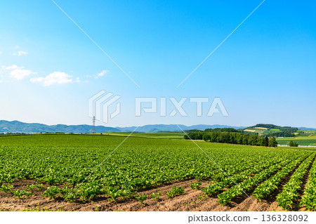 Traveling through the Okhotsk grain belt in Kitami, Eastern Hokkaido Traveling through the Okhotsk grain belt in Kitami, Eastern Hokkaido 136328092