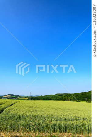 在北海道東部北見市穿越鄂霍次克海道糧食帶 136328097