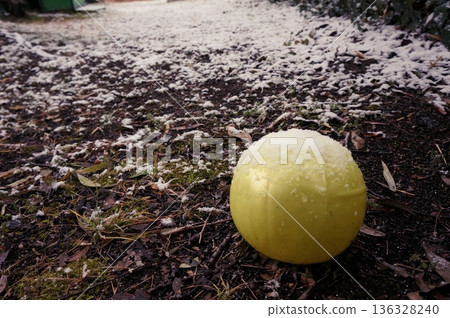 雪和球 雪和球 136328240