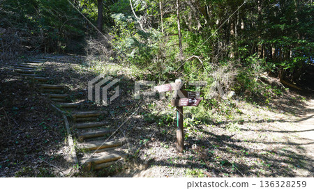 Mt. Tomimaku mountain trail Mt. Tomimaku mountain trail 136328259