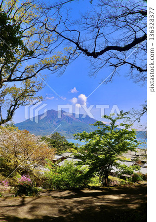 仙岩園和櫻島（鹿兒島縣鹿兒島市） 136328377