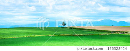 A landscape with a single tree near Biei, Hokkaido, where you can feel the refreshing breeze A landscape with a single tree near Biei, Hokkaido, where you can feel the refreshing breeze 136328424