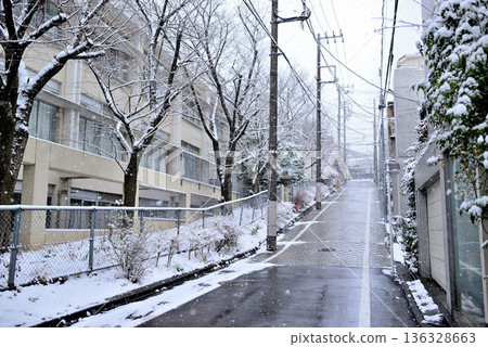 A quiet, upscale residential area with a light snowfall around Yoyogi-Uehara Station in Shibuya Ward, Tokyo 136328663