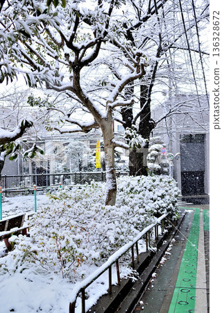A quiet, upscale residential area with a light snowfall around Yoyogi-Uehara Station in Shibuya Ward, Tokyo A quiet, upscale residential area with a light snowfall around Yoyogi-Uehara Station in Shibuya Ward, Tokyo 136328672