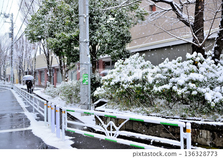 A quiet, upscale residential area with a light snowfall around Yoyogi-Uehara Station in Shibuya Ward, Tokyo 136328773