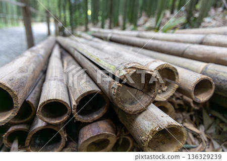 Close-Up View of Weathered Bamboo Logs in Serene Bamboo Forest Pathway 136329239