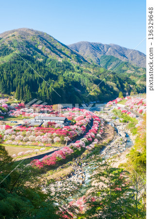 Hanamo no Sato Hanamo no Sato 136329648