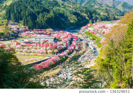 Hanamo no Sato Hanamo no Sato 136329651