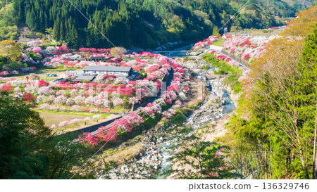 Hanamo no Sato 136329746
