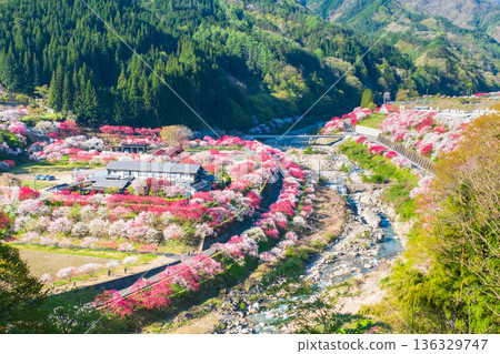 Hanamo no Sato Hanamo no Sato 136329747