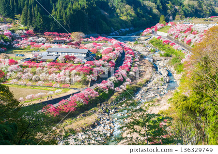 Hanamo no Sato Hanamo no Sato 136329749