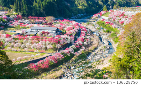 Hanamo no Sato 136329750