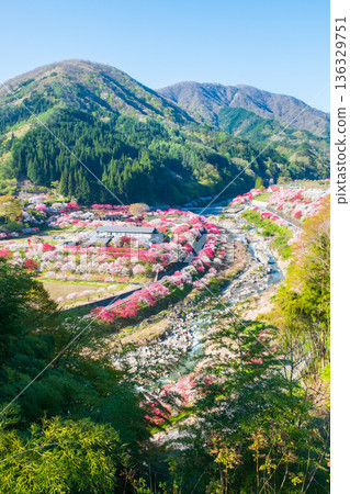 Hanamo no Sato 136329751