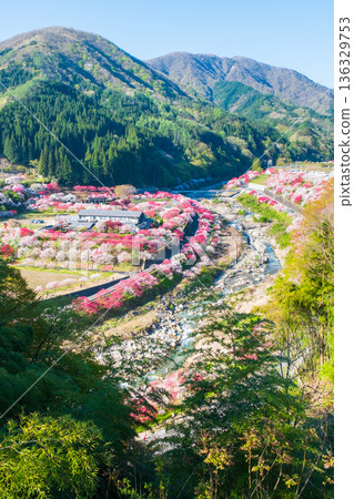 Hanamo no Sato 136329753