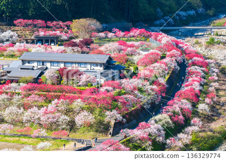 Hanamo no Sato 136329774