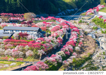 Hanamo no Sato Hanamo no Sato 136329777